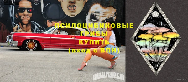 ГАЛЛЮЦИНОГЕННЫЕ ГРИБЫ Дмитровск