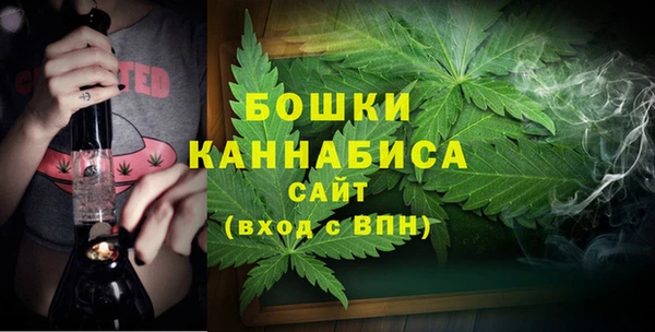 ГАЛЛЮЦИНОГЕННЫЕ ГРИБЫ Дмитров